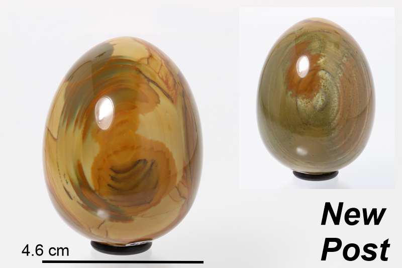 Jasper Eggs (USA)